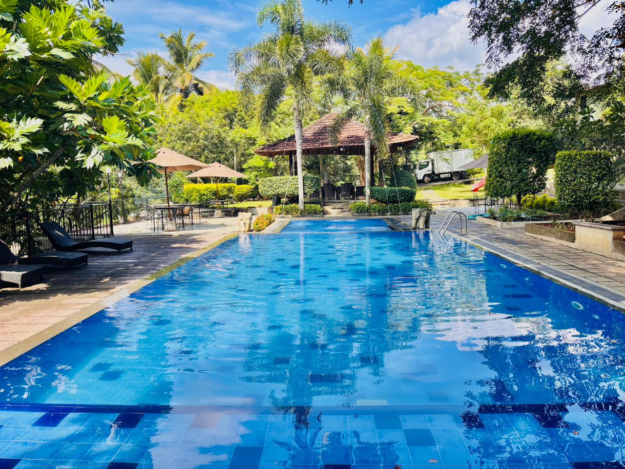 Sunrise yoga in Kandy hills