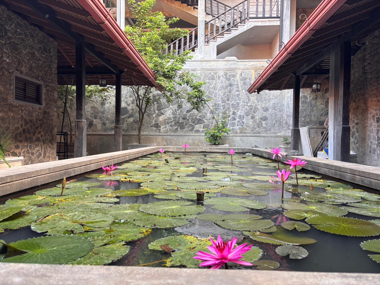 Nature hike at Knuckles